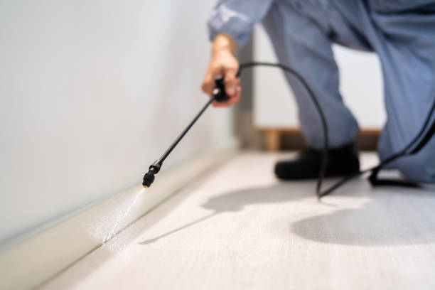 Licensed Mosquito Control service in Franklin, VA - Show Me Pest Control