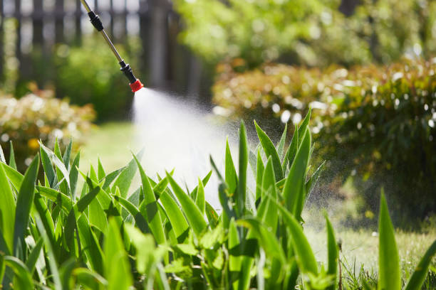 24/7 Emergency Mosquito Control experts in Franklin, VA