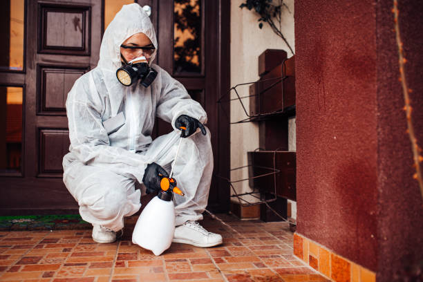 Reliable Mosquito Control contractor in Franklin, VA by Show Me Pest Control