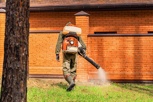 Top rated local Mosquito Control specialists in Franklin, VA
